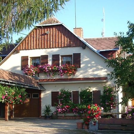 Pension Ivanka Jestrabi V Krkonosich المظهر الخارجي الصورة