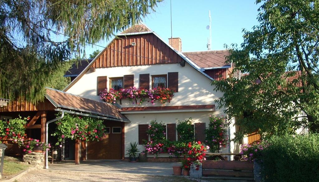 Pension Ivanka Jestrabi V Krkonosich المظهر الخارجي الصورة